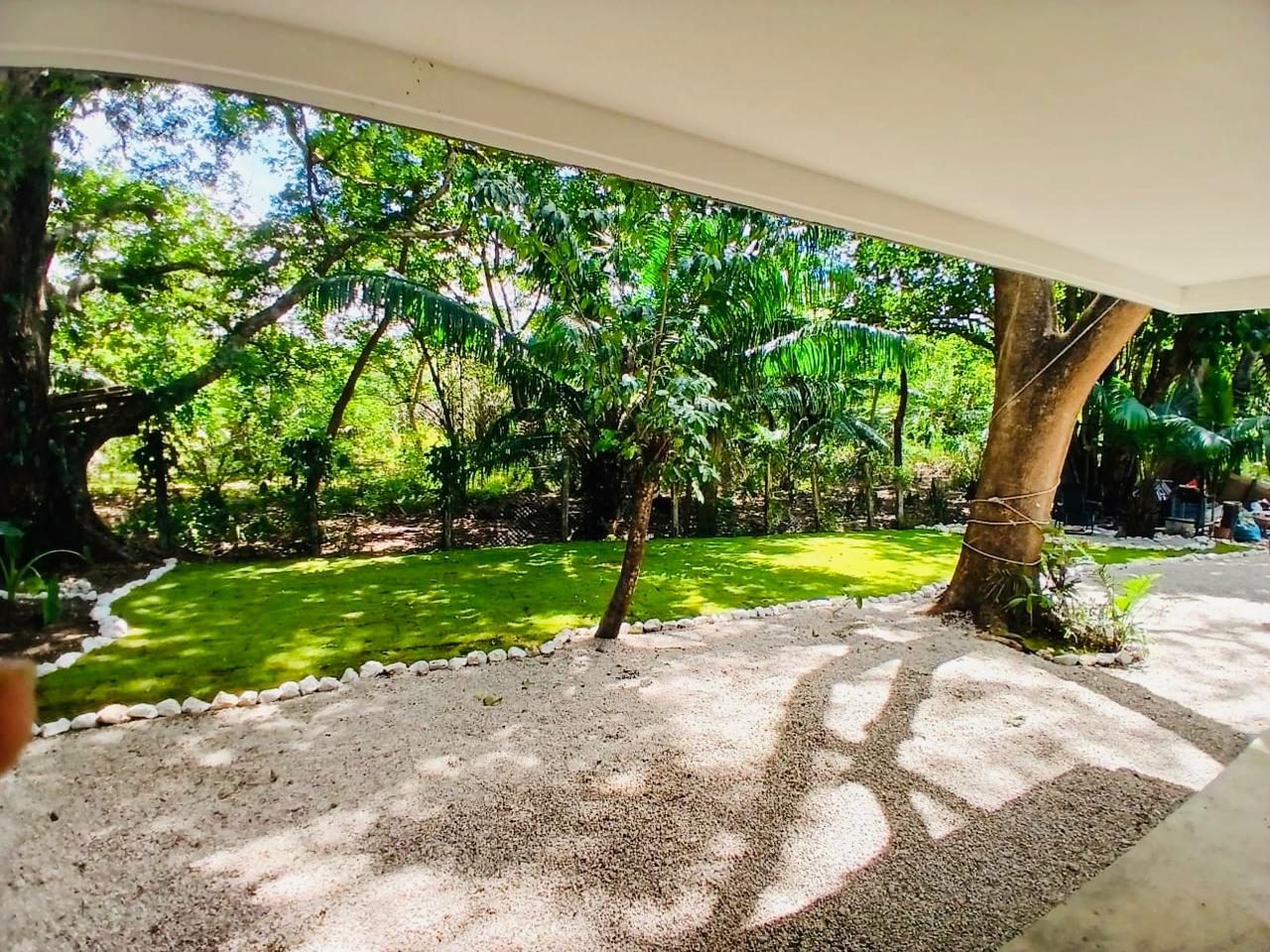 The pool and terrace