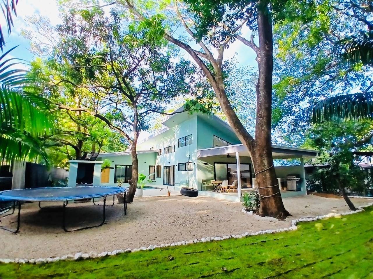 The forest as seen from the property